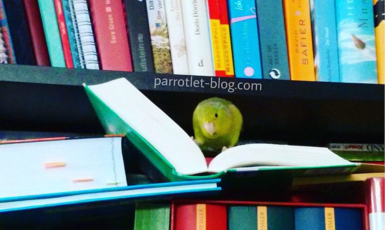 Parrotlet Names