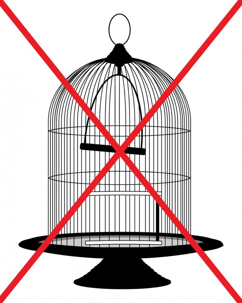 round bird cage